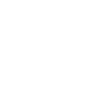 Icone Conseil & services financiers Elise Beaudoin